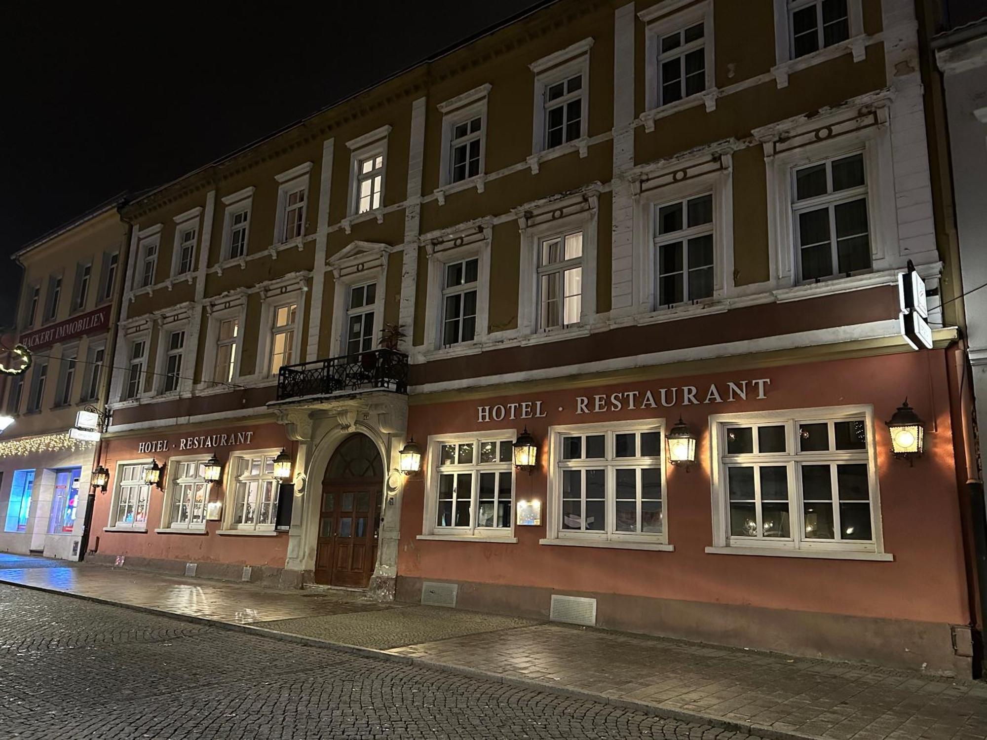 Hotel Sachsenhof Riesa Bagian luar foto